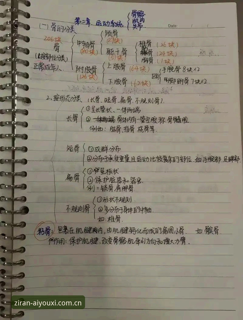一位体育迷的“苹果注册”实战笔记：告别绕路，直接上车